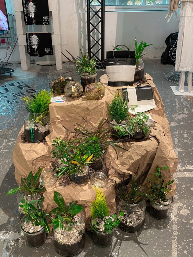 piante per allestimento fashion graduate